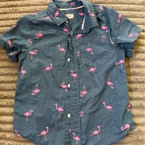 Cat & Jack Blue Flamingo Button Down Shirt